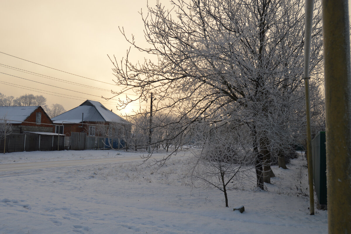 Фото автора. 10.01.2024. Кубань. Станица. Восход солнца при температуре – 12 градусов по Цельсию.