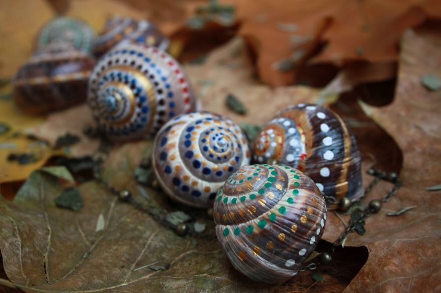 https://www.boredpanda.com/blog/wp-content/uploads/2015/11/invasion-of-the-rainbow-snails-8__880.jpg