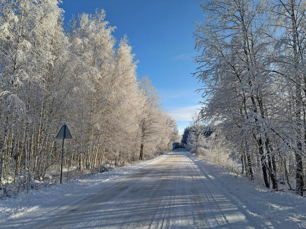 Фото взято из бесплатного фотобанка