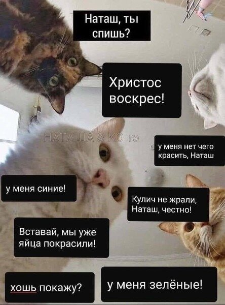 приняли акивное участие в пасхальных приготовлениях!