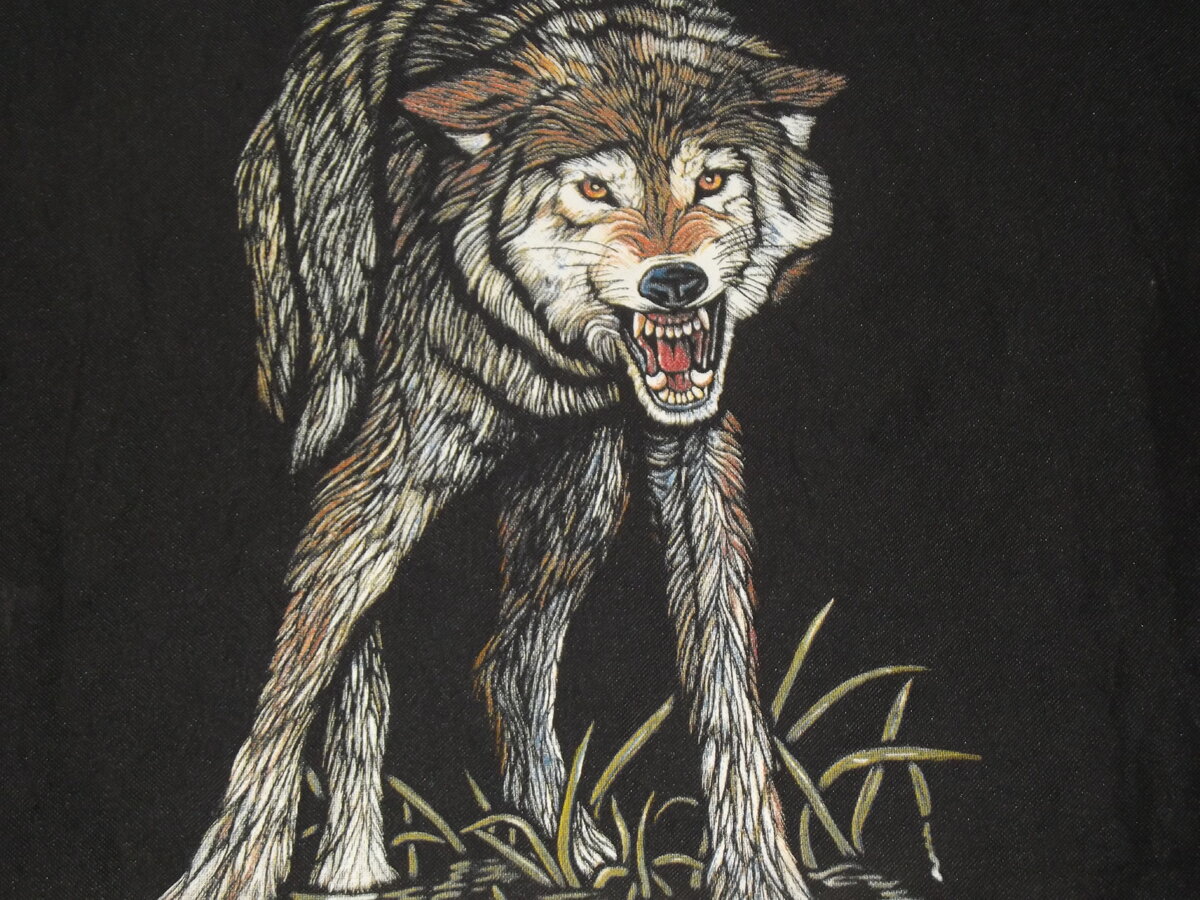 Картинка с принта на сумке