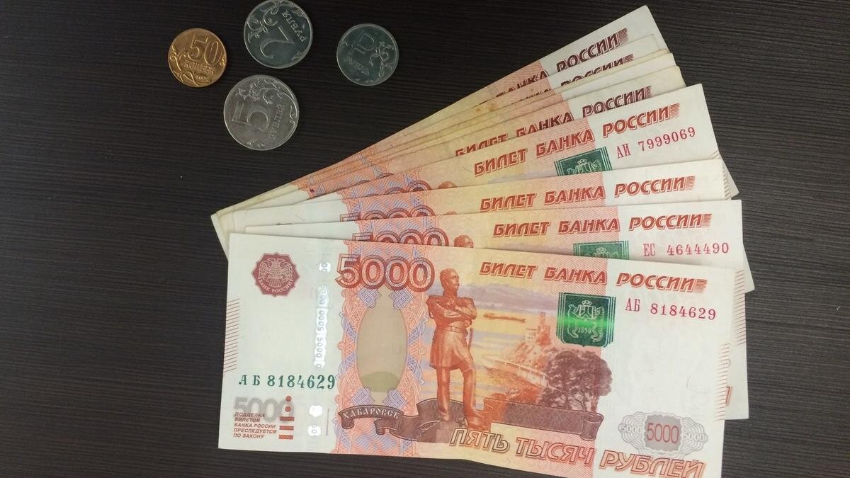    С начала года размер многит выплат вырос. Фото: pxhere.com