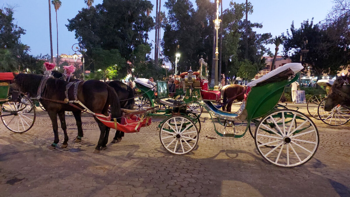 Можно и на коляске по городу