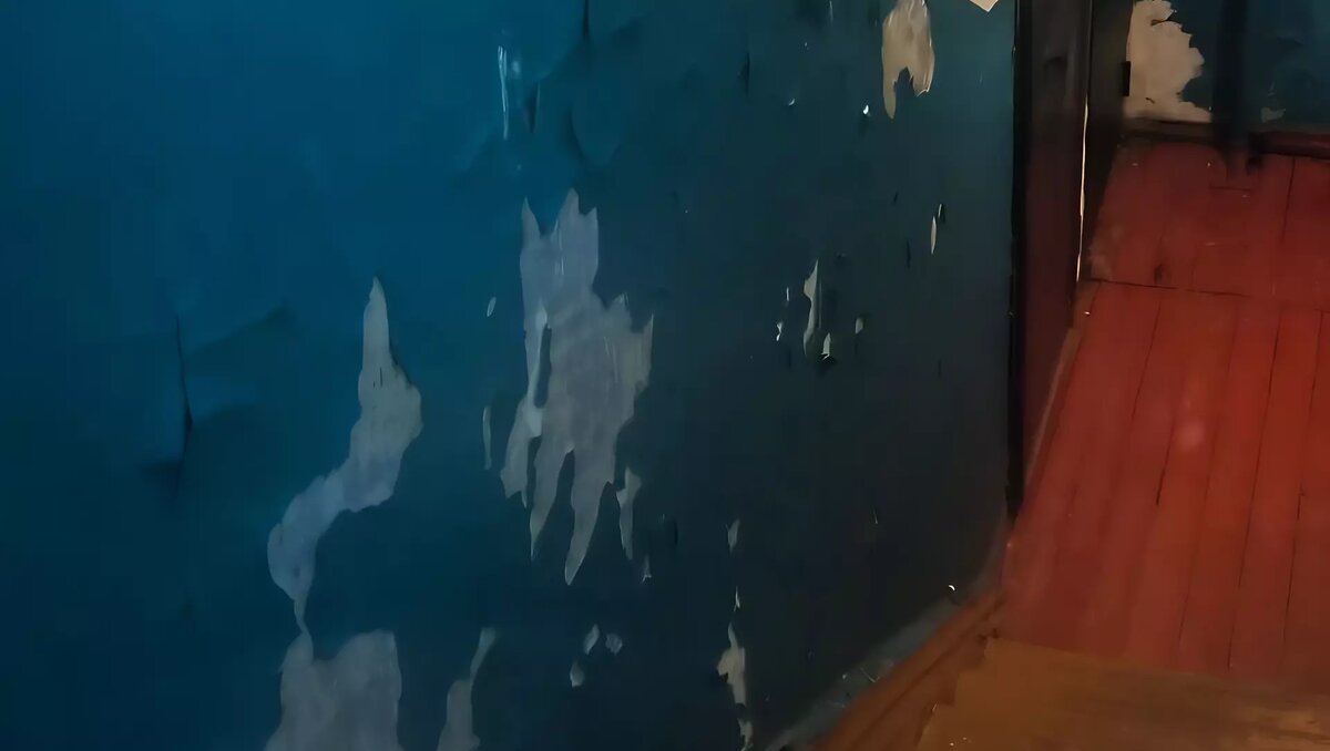     По словам местных, обращения в управляющую компанию не помогают, а мэрия прислала лишь отписку.