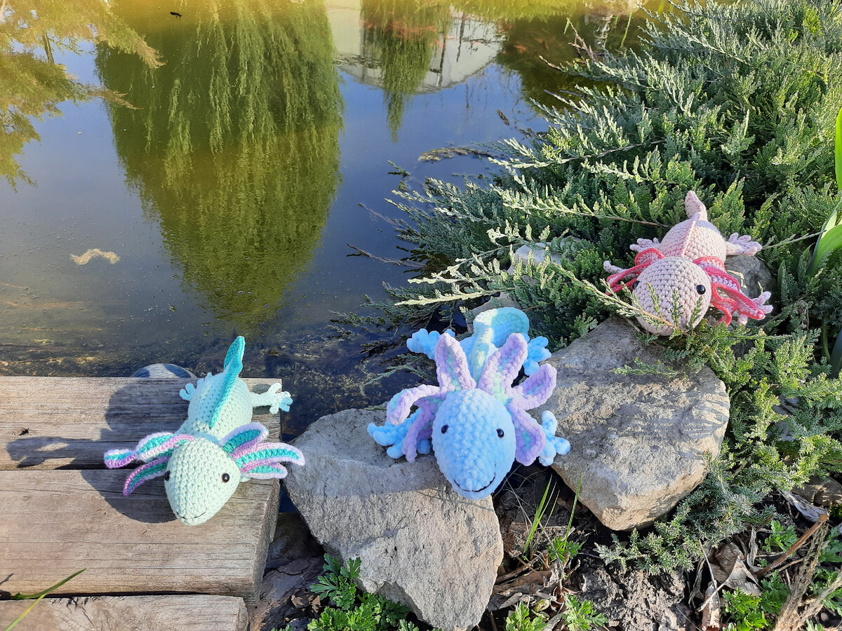 Аксолотль. Авторское фото. При использовании ссылка на автора обязательна.