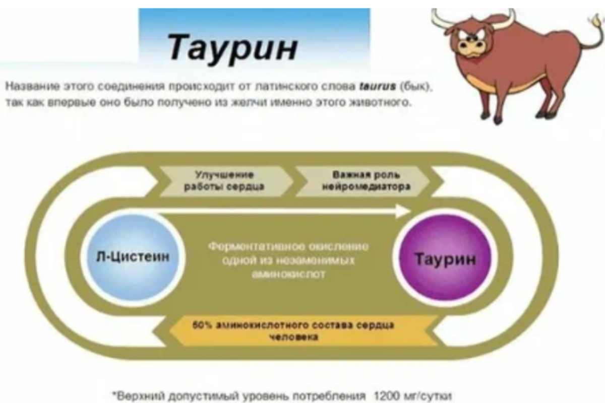Таурин что это и для чего. Таурин. Что такое таурин в энергетиках. Таурин в энергетике польза и вред. В каких продуктах содержится таурин
