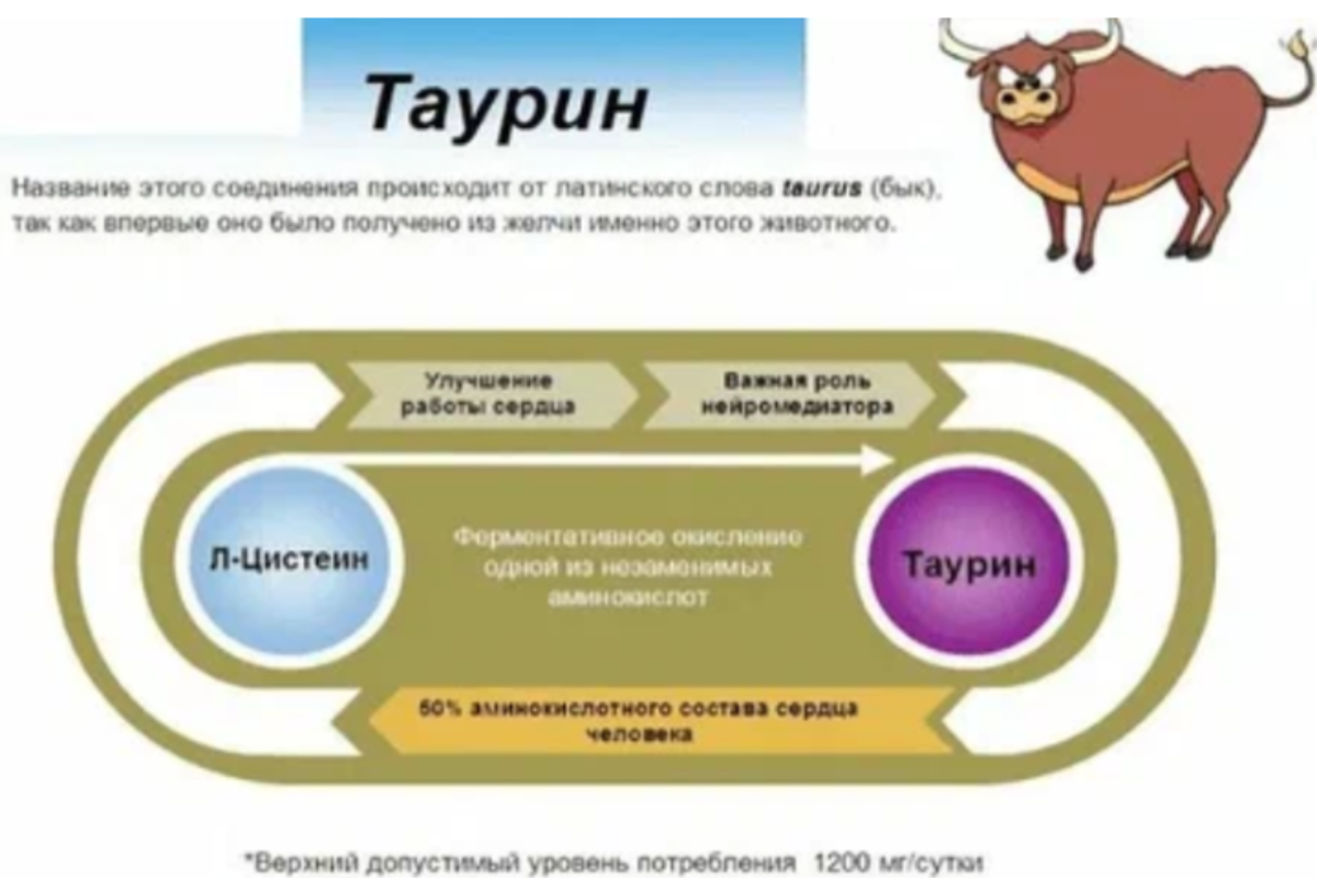 Таурин свойства для организма