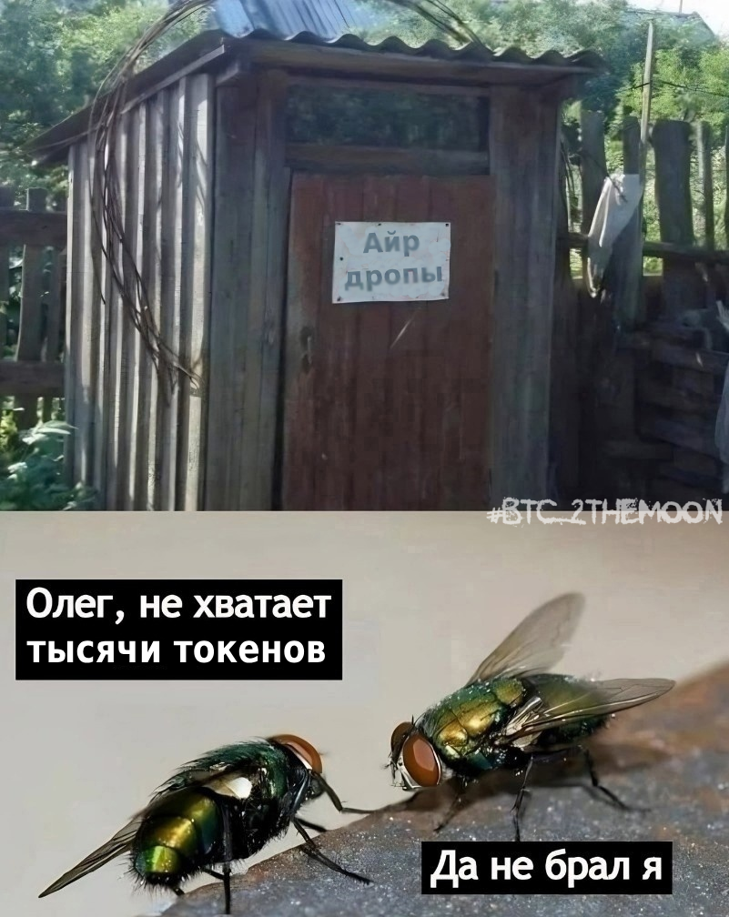 крипто мем