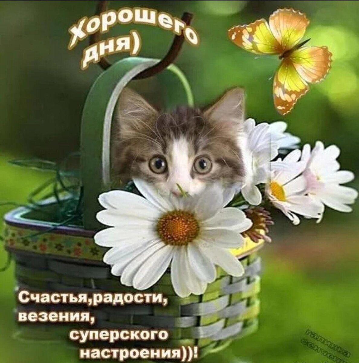 фото из интернета