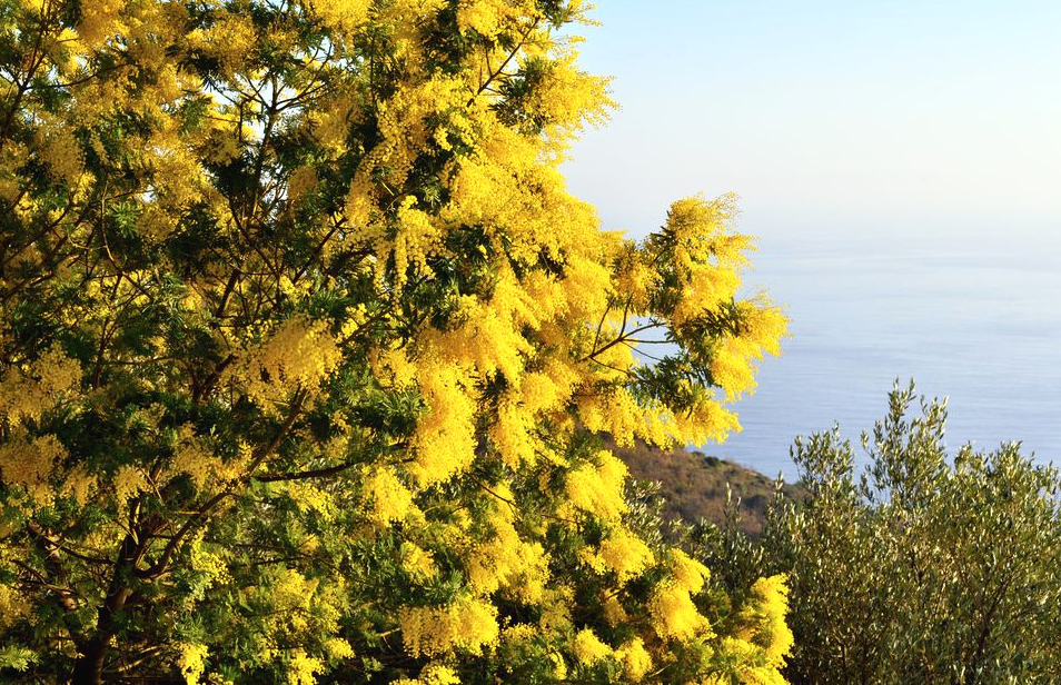 зеленые холмы шропшира. куда не взглянешь всюду холмы схема. холмистая равнина карелии. всюду холмы. зеленые холмы англии.