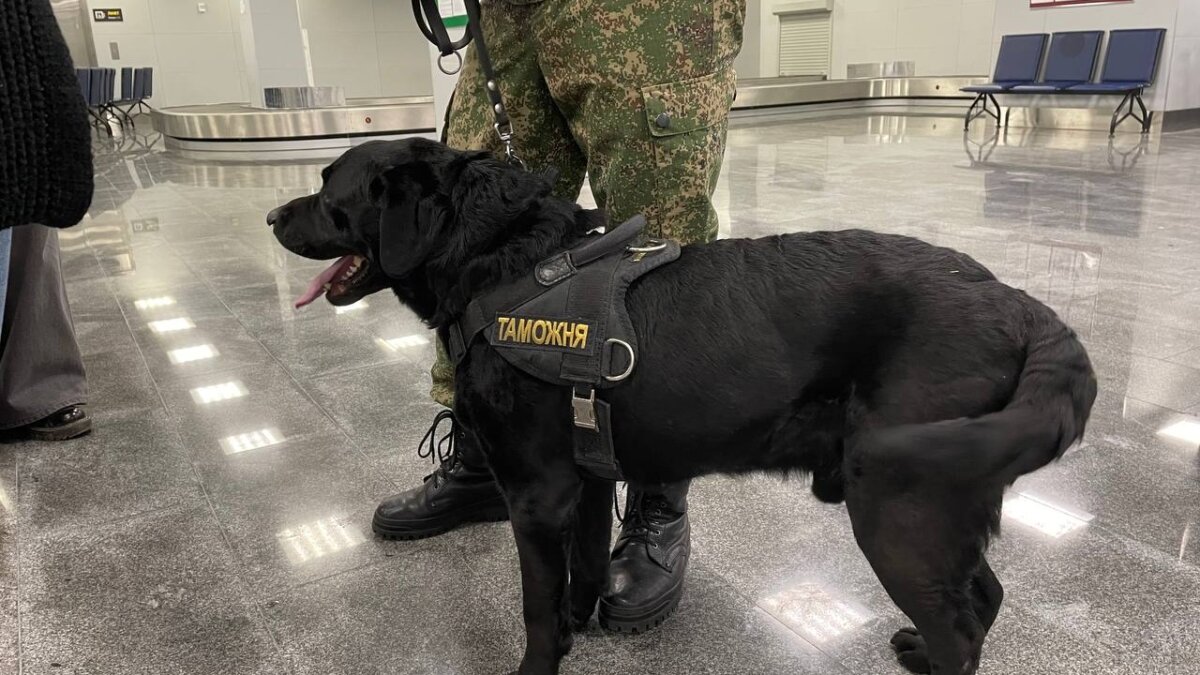 ИА SM-News Тюмень📷
