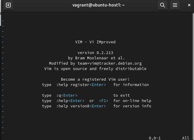 Как открыть vim. Как открыть vim