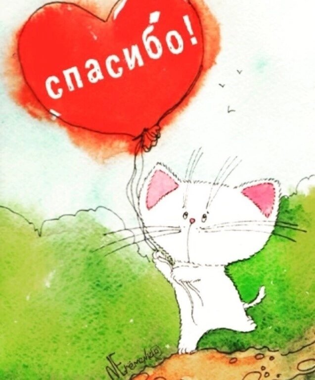 Спасибо за котиков. Спасибо кот. Открытка спасибо с котиком. Котенок благодарит. Спасибо картинки с котиками.
