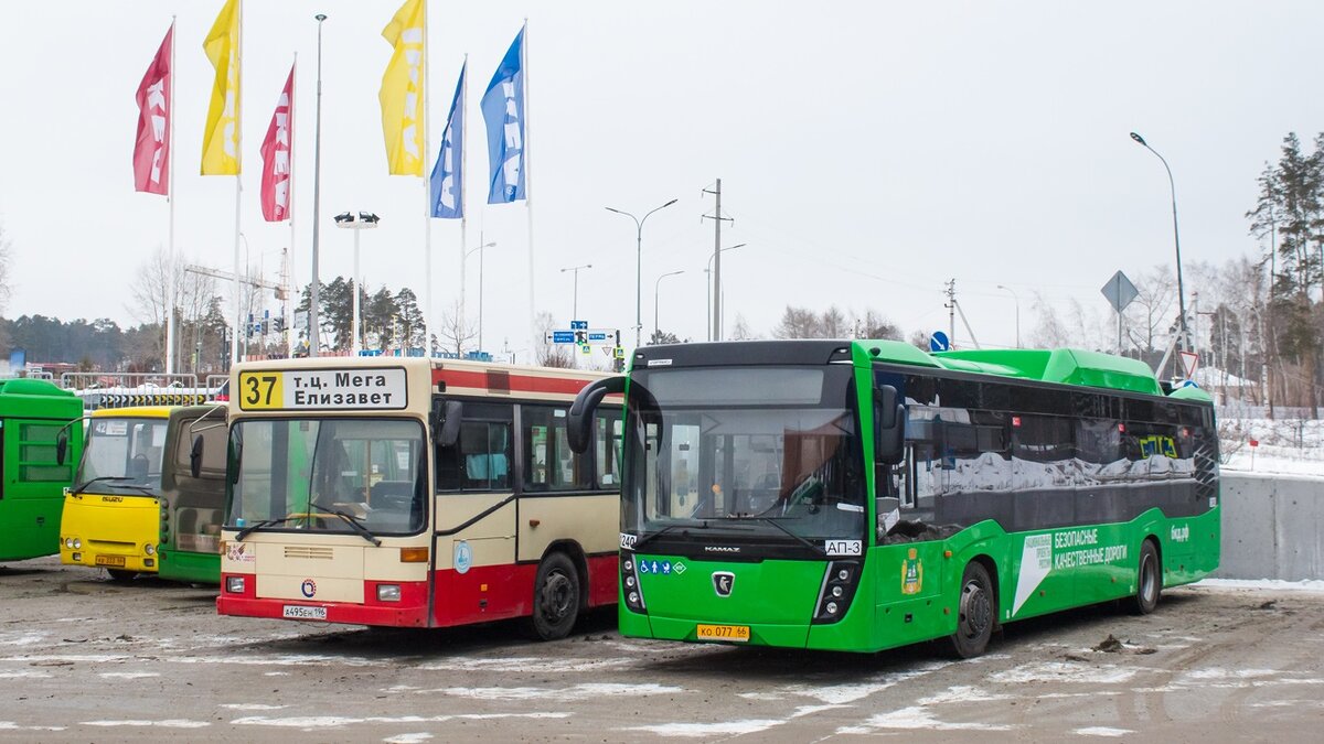 Уходящая порода, или почему немецкие автобусы б/у оказались такими живучими  | ПроАвтобизнес | Дзен