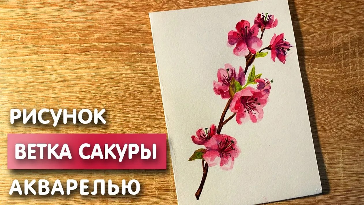 Уроки рисования карандашом поэтапно для начинающих