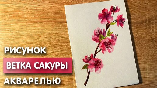 Ветки рисунок карандашом