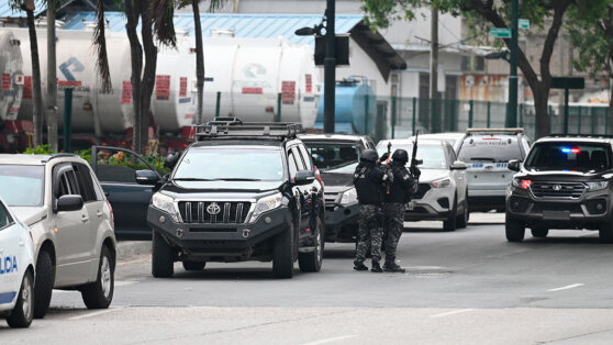    МИД РФ: в Эквадоре не зафиксировали происшествий с россиянами Ирина Петрова