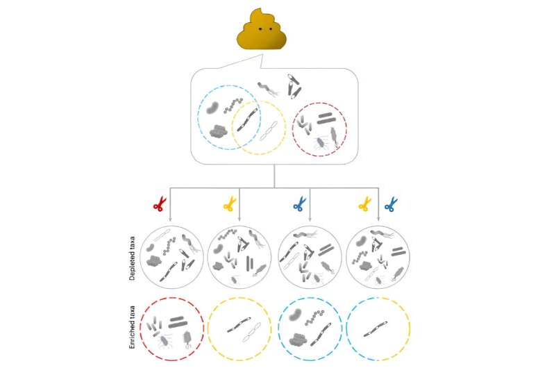 С помощью mEnrich-seq можно исследовать интересующие бактерии из одного и того же образца микробиома. Иллюстрация: Icahn School of Medicine at Mount Sinai