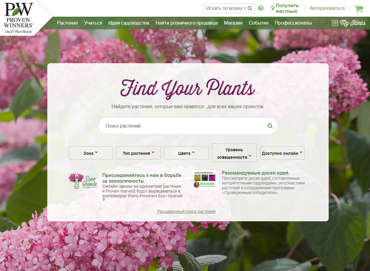 Скриншот главной страницы сайта "Провереннные победители"