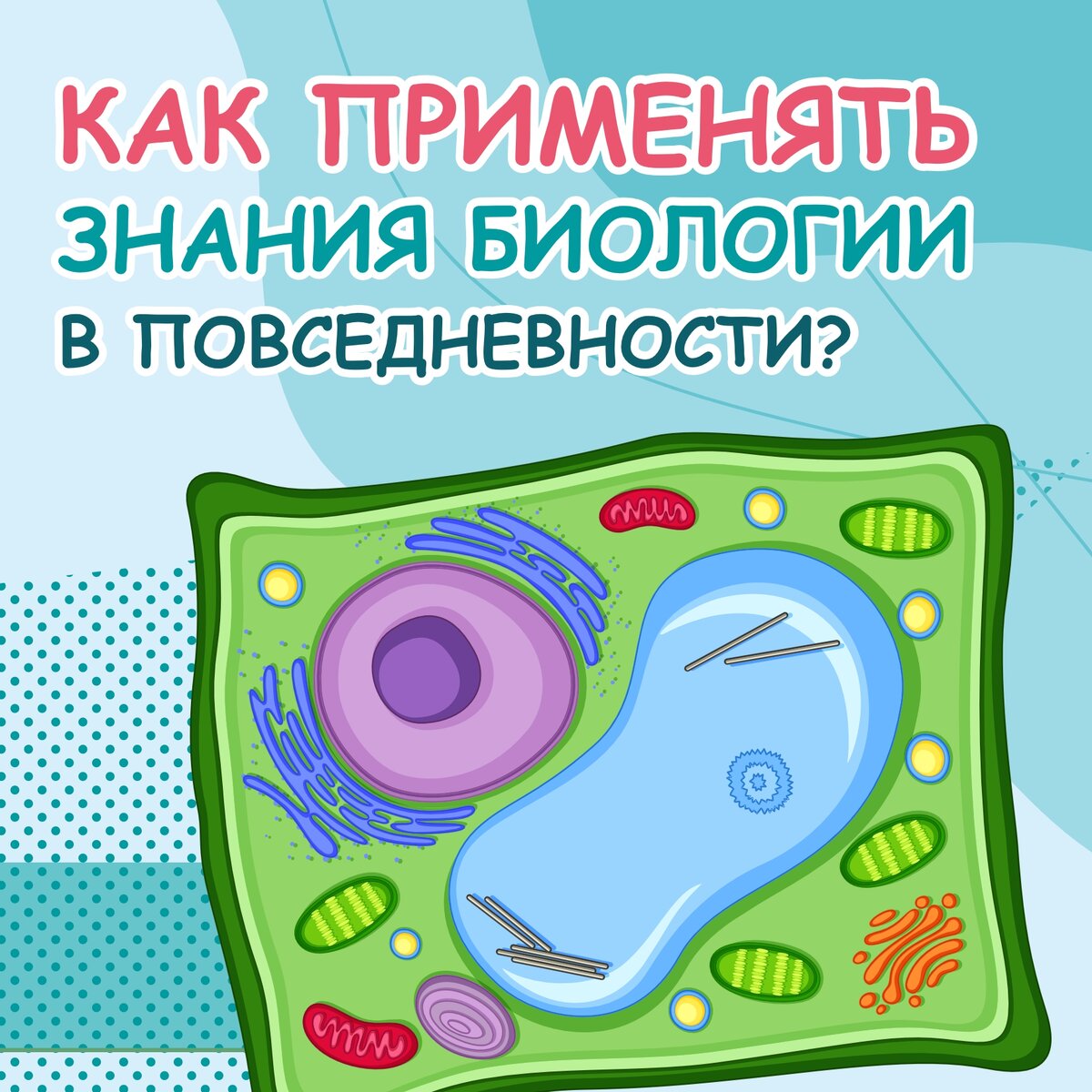 Как применять знания биологии в повседневности
