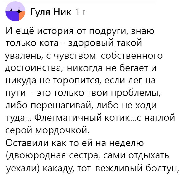 Как круто прокомментировать фото на английском? 83 примера для девушек и парней