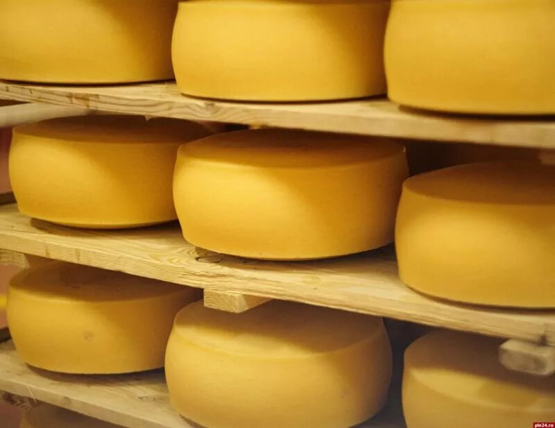 Фото: ГК «Кабош»