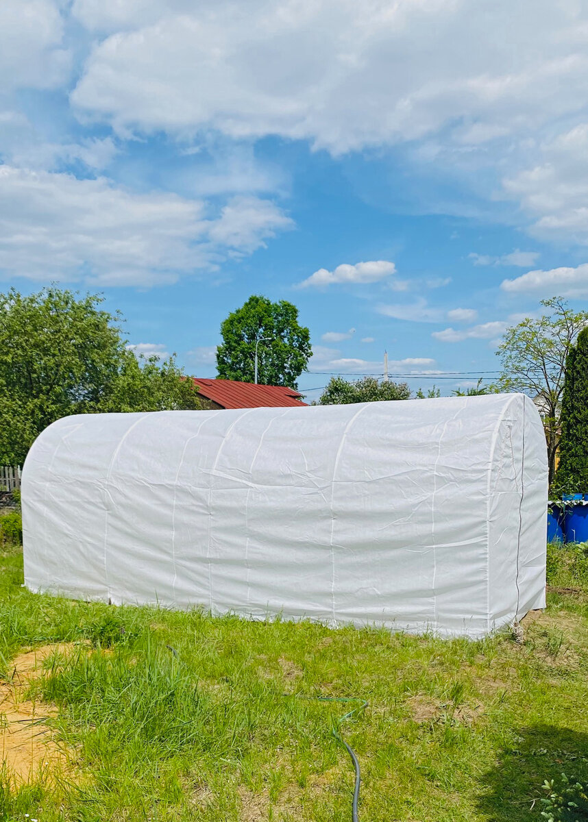 Комплекс компьютерный с программным обеспечением. Разновидности проприетарных программ. Технология клиент-сервер схема. Программное обеспечение. Програпмноеобеспечение.