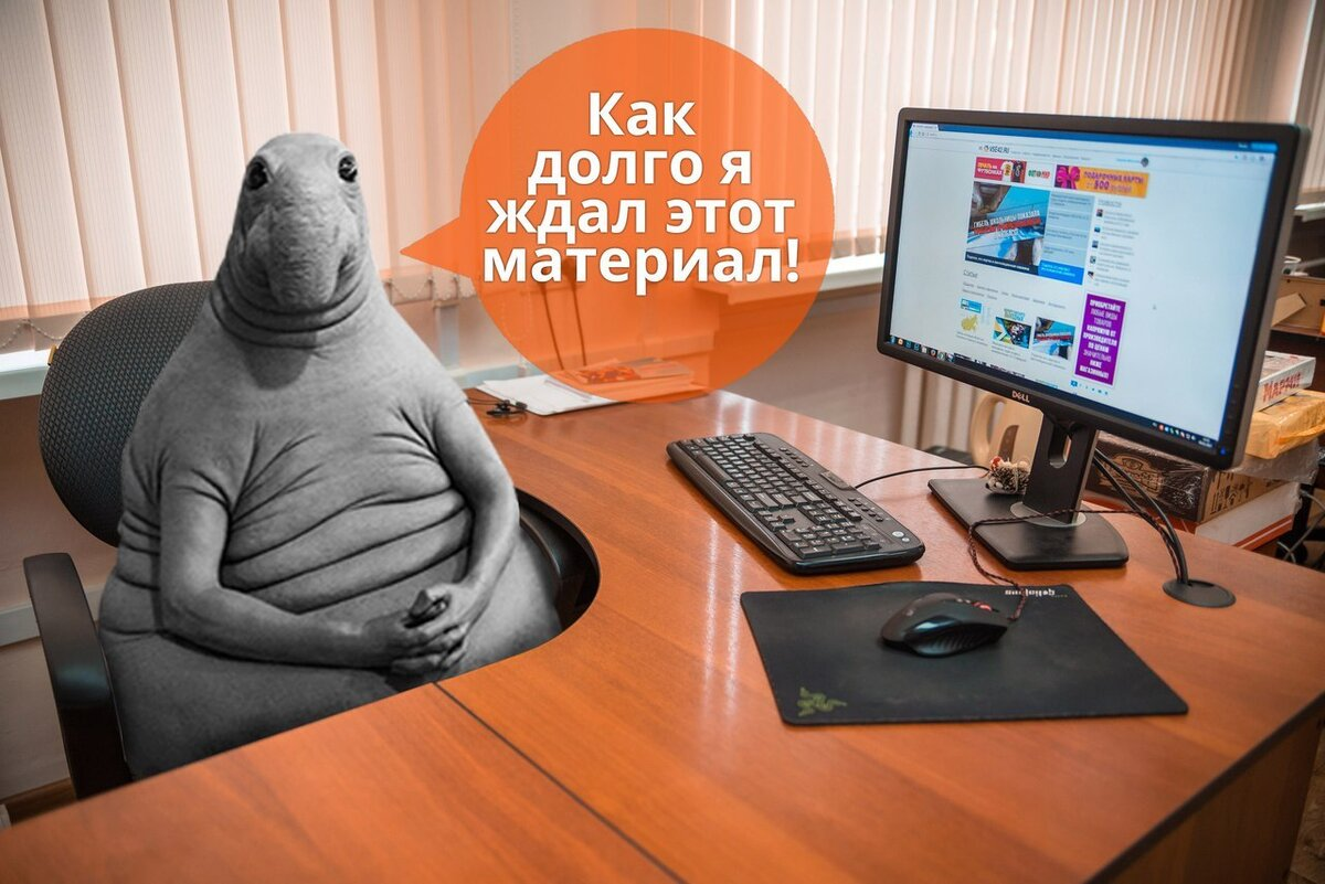 Хочется думать, что многие мои читатели и подписчики ждут продолжения моего расследования так же, как это делает небезызвестный интернет-персонаж Ждун.