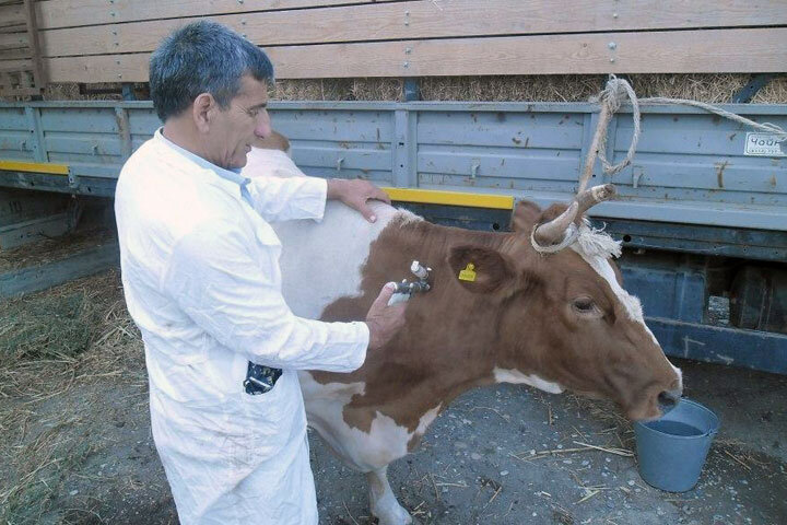 Фото: Минсельхозпрод Хакасии 