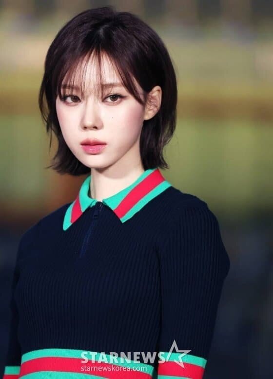    스타뉴스