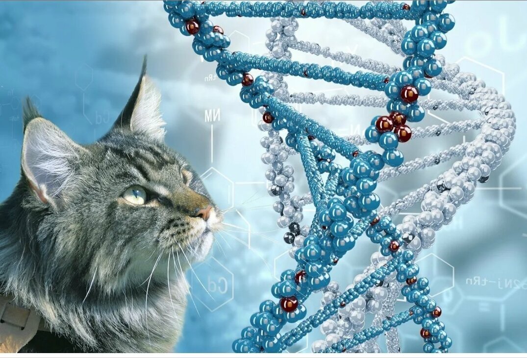 Гены, они такие загадочные)))