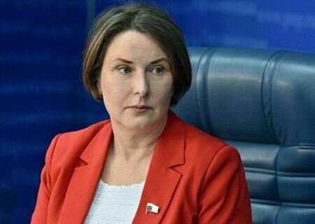    Депутат Думы призвала жителей России брать в руки лопаты и убирать снег