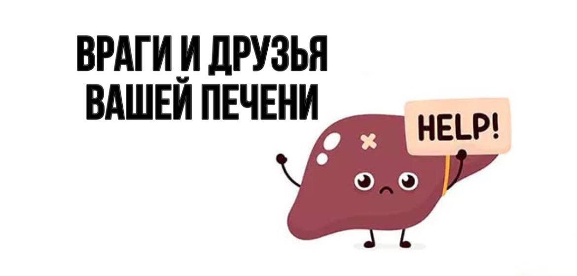 Не болит – значит все хорошо! Но так ли это на самом деле? Почему важно позаботиться о печени вовремя и как понять, что нужно делать? Об этом вы сможете узнать в этой статье.