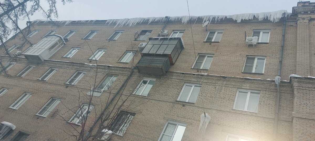 Фото: Екатерина Сизарева/предоставлено сайту Царьград.