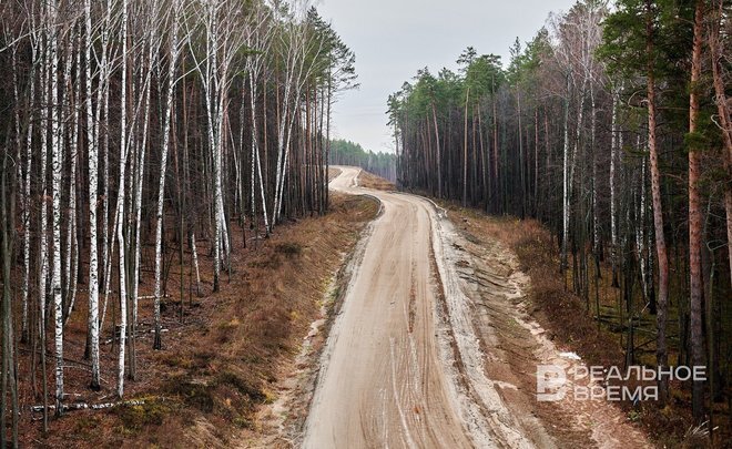 Фото: realnoevremya.ru/Динар Фатыхов (архив)