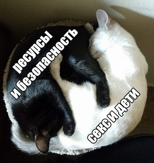 Скажи отношение