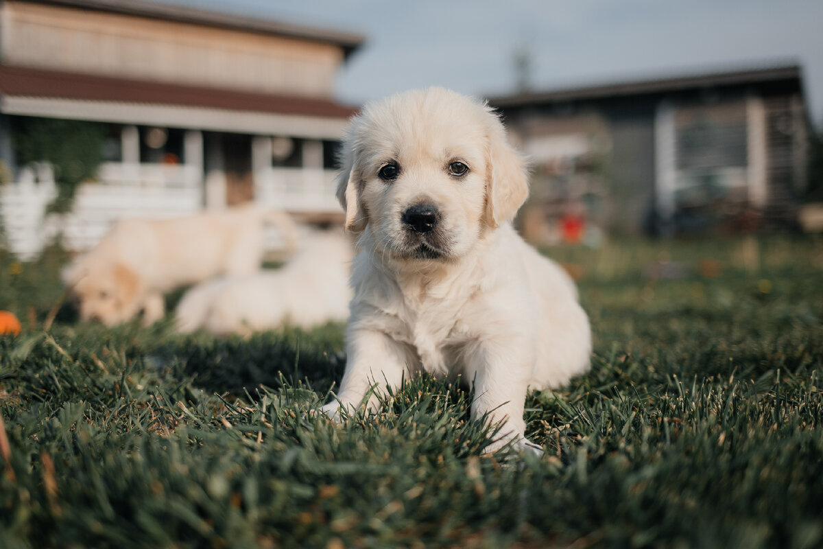 Фото автора канала