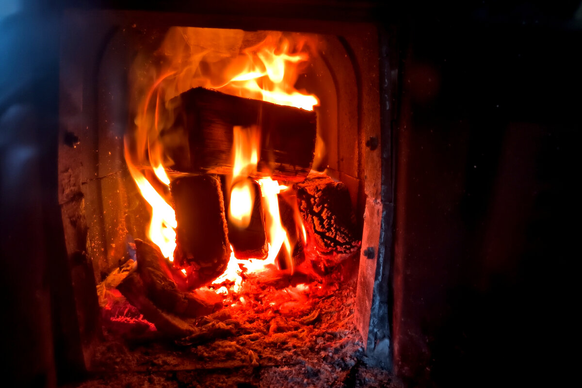 Фото: Максим Константинов/Globallookpress