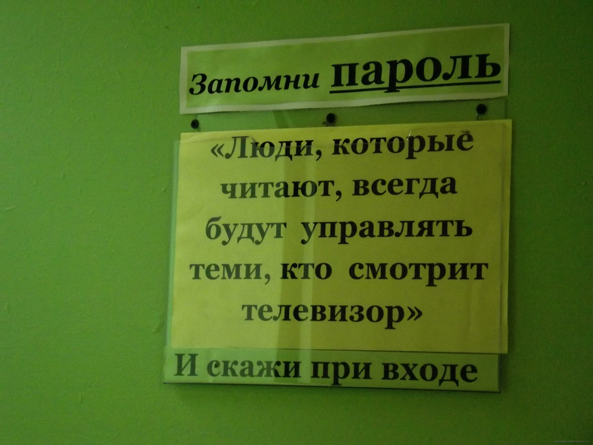 Пять минут хорошего настроения. Библиотека. | Felix Shamirov | Дзен