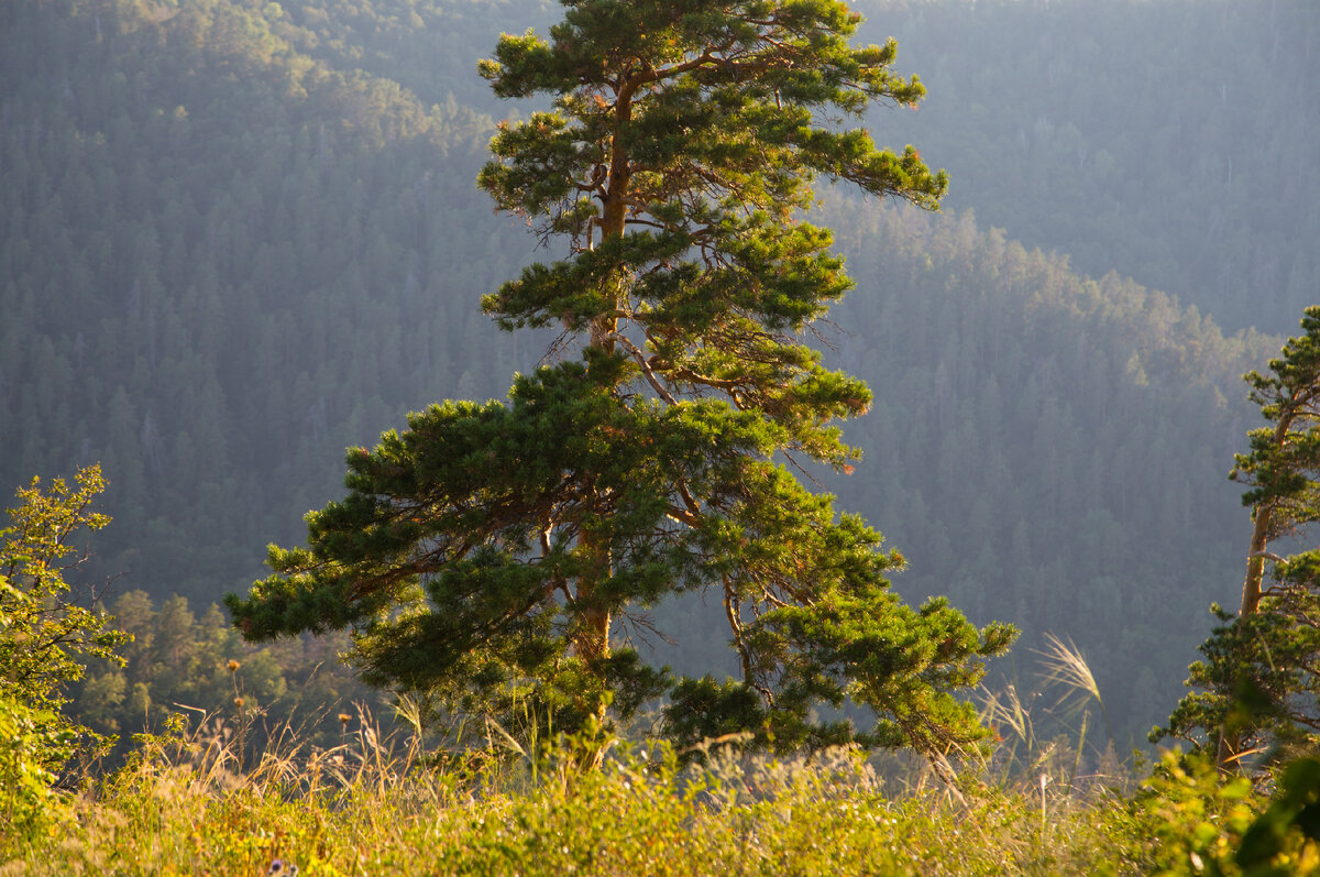 На горе времена года