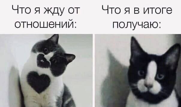 источник-интрнт