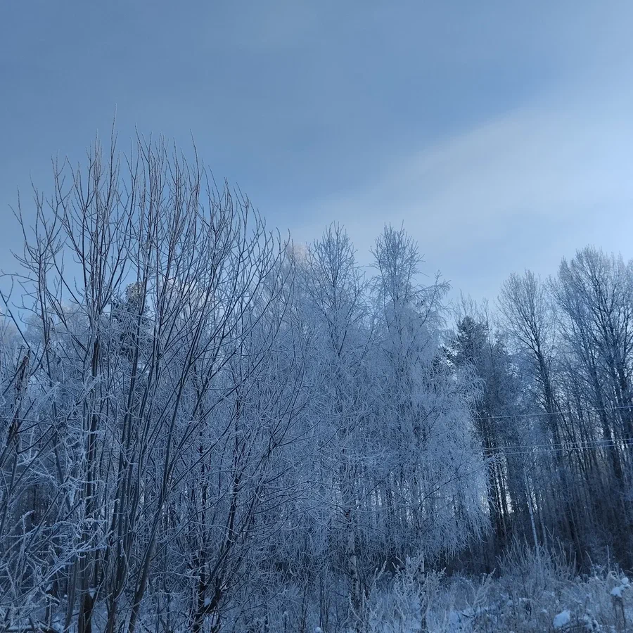 морозное утро