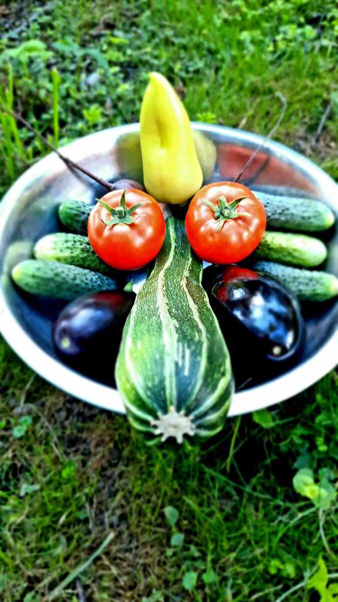 Фото автора. Овощной монстр :) Вы тоже его видите?