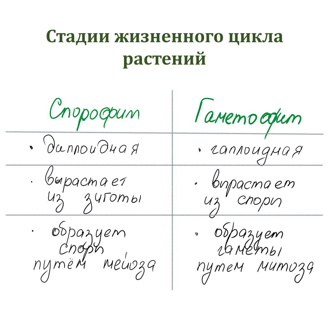 Все высшие растения имеют в своем жизненном цикле спорофит и гаметофит.