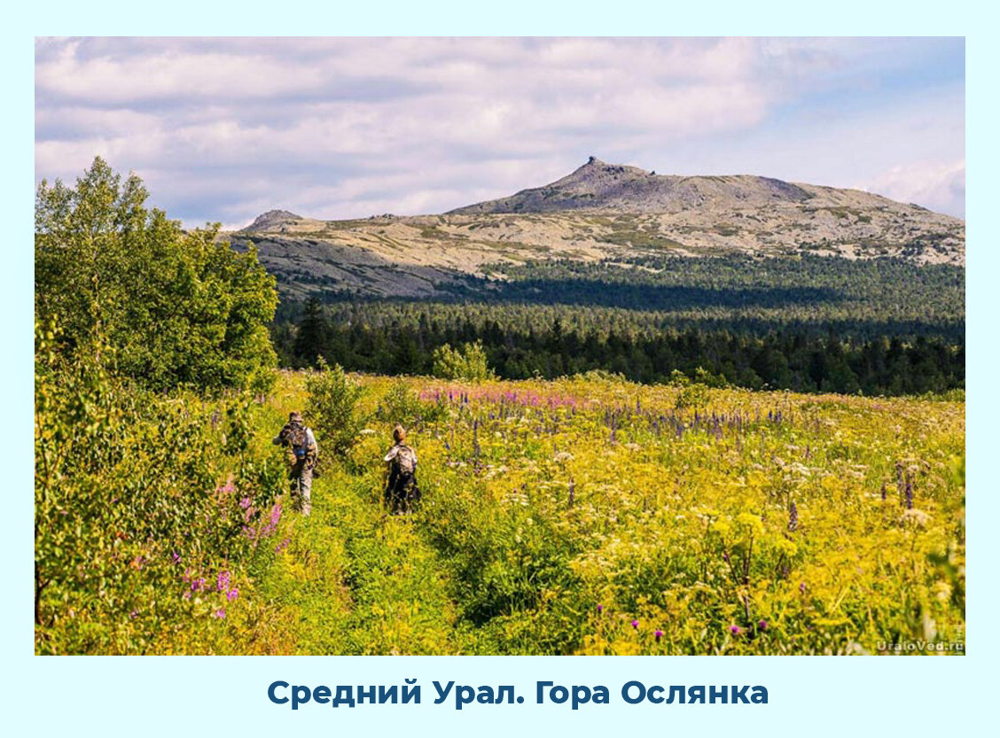 Гора ослянка пермский край фото