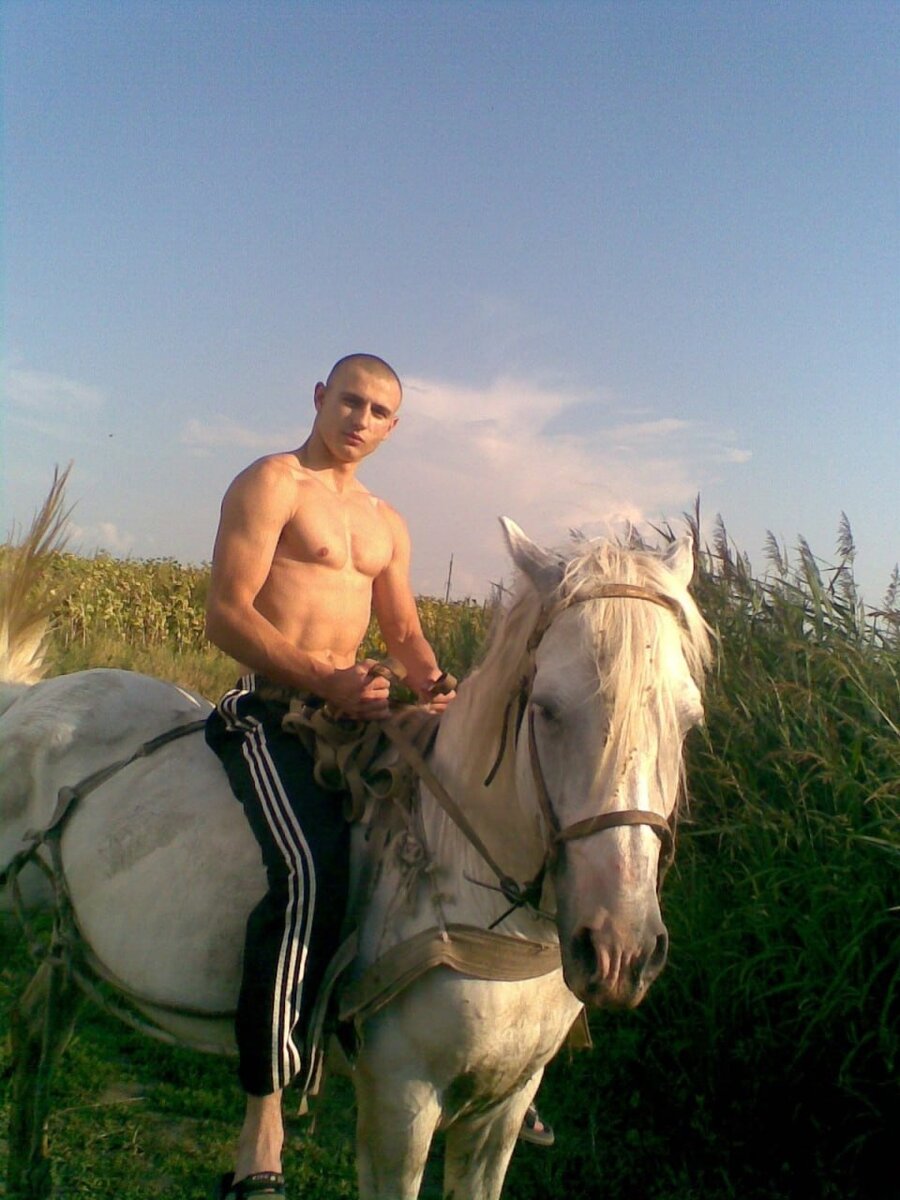 прЫнц на белом коне. прямо как вб в глазах некоторых))