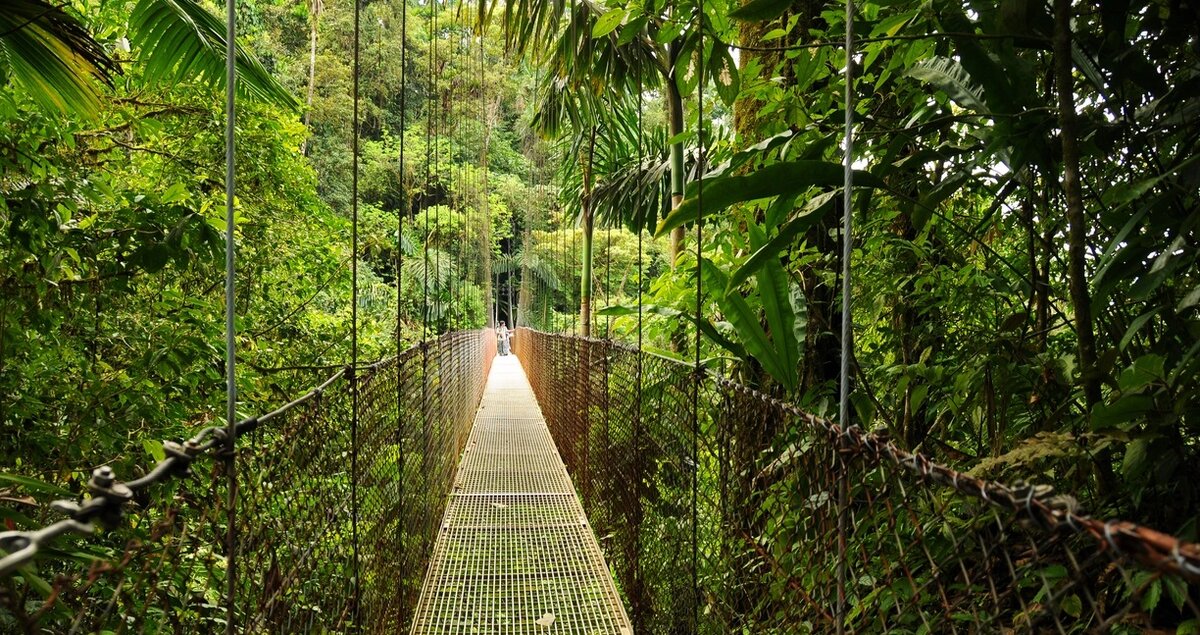 Татьяна Иванова