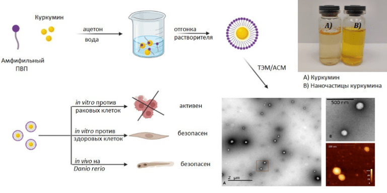    Изображения наночастиц получены при помощи электронной и атомно-силовой микроскопии / © Пресс-служба РХТУ