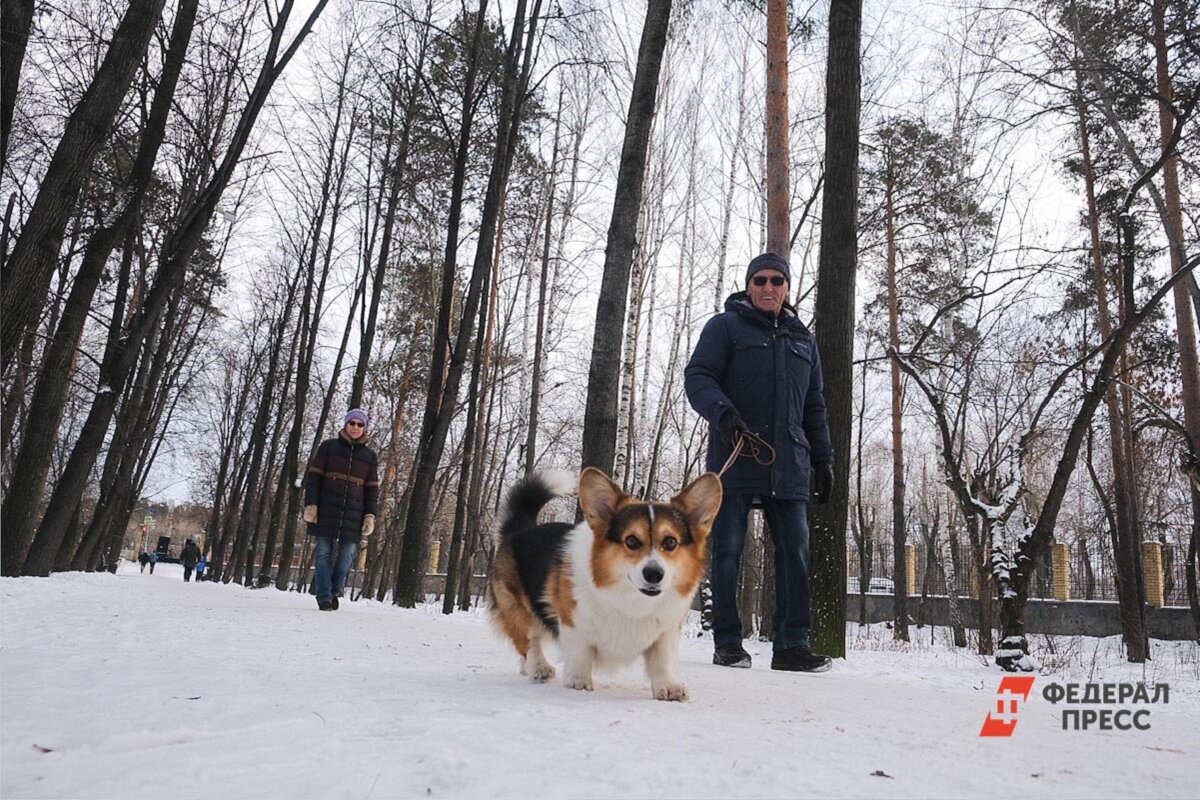 Летний парк «Уралмаш» три года боролся за федеральное финансирование.  Фото: ФедералПресс / Полина Зиновьева