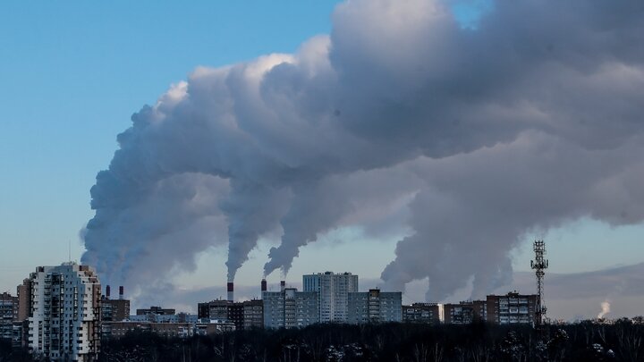 ФОТО: DMITRY GOLUBOVICH/GLOBALLOOKPRESS